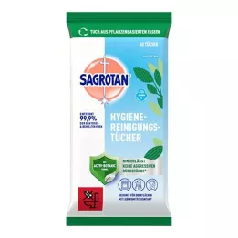 SAGROTAN Hygiene cleaning wipes, 60 pcs