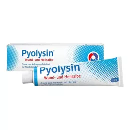 PYOLYSIN Wound and healing ointment, 100 g