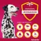 ADVANTIX Spot-on solution for application to the skin for dogs 25-40 kg, 4X4.0 ml