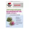 Doppelherz artichoke-milk thistle system soft, 60 pcs