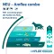 AMFLEE combo 67/60.3mg Oral solution for dogs 2-10kg, 3 pcs