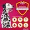 ADVANTIX Spot-on solution for application to dog 40-60 kg, 4X6.0 ml