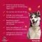 ADVANTIX Spot-on solution for application to dog 40-60 kg, 4X6.0 ml
