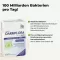 Intestinal Flora Active Plus 100 billion bacteria + 7 vitamins, 80 pieces