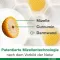 Curcumin-Loges plus Boswellia capsules, 60 pieces
