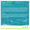 HEMORRPEN, 1 pc