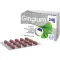 GINGIUM 240 mg film-coated tablets, 120 pcs