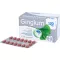 GINGIUM 120 mg film-coated tablets, 120 pcs