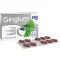 GINGIUM 240 mg film-coated tablets, 60 pcs