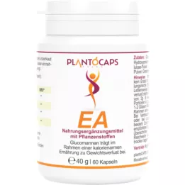 PLANTOCAPS Finally Lose Weight Capsules, 60 Capsules