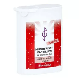 MUNDFRISCH Sugar-free pastilles, 35 g