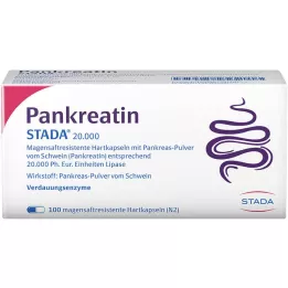 PANKREATIN STADA 20.000 enteric hard capsules, 100 pcs