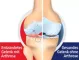 Instructions for use for GELENCIUM® arthro drops, 100 ml - 2