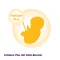 Femibion 1 desire to have children + early pregnancy without iodine tablets 8-week pack, 60 pcs