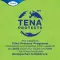 TENA LADY Discreet pads maxi night, 12 pcs
