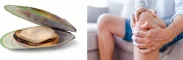 Instructions for use for Green-lipped mussel 500 mg high-dose capsules, 300 pieces - 2