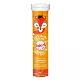 INTACT Schlaufuchs Effervescent Tablets with Iron, 15 pcs
