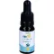 CBD CANEA 10% Premium Hemp Oil, 10 ml