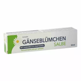 GÄNSEBLÜMCHEN Ointment with witch hazel &amp; Panthenol, 50 ml