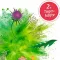Instructions for use for Base Active Tea No. 2 Mariend.-Dandelion Organic Salus, 40 pcs - 3