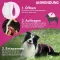 FRONTLINE Tri-Act Drop-on solution for dogs 2-5 kg, 6 pcs