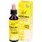 BACHBLÜTEN Original Rescura drops alcohol-free, 20 ml