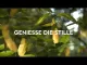 Video about Kneipp bath crystals forest bath pine fir, 600 g