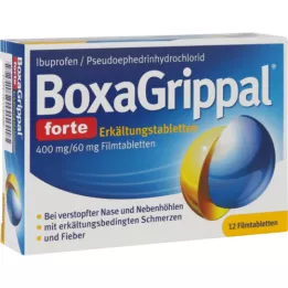 BOXAGRIPPAL forte Cold Tab. 400 mg/60 mg FTA, 12 pcs