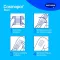 cosmopor® sterile wound dressing 10 cm x 8 cm, 5 pcs