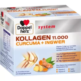 DOPPELHERZ Collagen 11,000 Curcuma+Ingw.system TRA, 30X25 ml