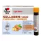 DOPPELHERZ Collagen 11,000 Curcuma+Ingw.system TRA, 30X25 ml