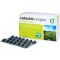 CATECHIN-Loges Green Tea Capsules, 120 Capsules
