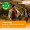 Desloratadine HEUMANN 5 mg film-coated tablets, 10 pcs