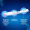 CLEARBLUE Pregnancy TripleCheck ultra-early, 3 pcs