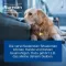 NUREXAN ad us.vet.tablets, 500 pcs