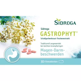 SIDROGA GastroPhyt 250 mg film-coated tablets, 30 pcs