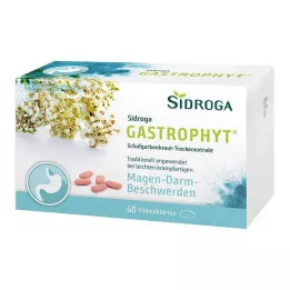 SIDROGA GastroPhyt 250 mg film-coated tablets, 60 pcs