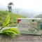 H&S Organic Darjeeling Green Tea Filter Bag, 20X2 g