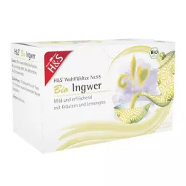 H&amp;S Organic Ginger Filter Bag, 20X2 g
