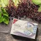 H&S Elderberry with vitamin C and zinc filter sachet, 20X2.5 g
