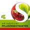 DOBENSANA Herbal Cherry Paste Vit.C &amp; Zinc Pastil., 36 pcs