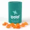 IPALAT Pastilles flavor edition summer mint, 40 pcs