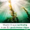 Vitamin D-Loges 7,000 IU plant-based weekly depot, 60 pieces