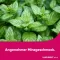 LINGUMELT acute orodispersible tablets, 6 pcs