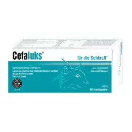 CEFALUKS Hard capsules, 60 pc