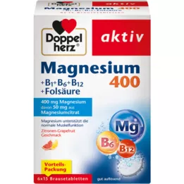 DOPPELHERZ Magnesium 400+B1+B6+B12+folic acid BTA, 6X15 pcs
