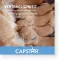 CAPSTAR 11.4 mg tablets for cats/small dogs, 1 pc