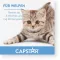 CAPSTAR 11.4 mg tablets for cats/small dogs, 1 pc