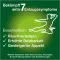 Instructions for use for nicorette chewing gum freshmint, 2 mg nicotine, 210 pieces - 4