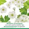 cratae-Loges 450 mg hawthorn film-coated tablets, 100 pcs